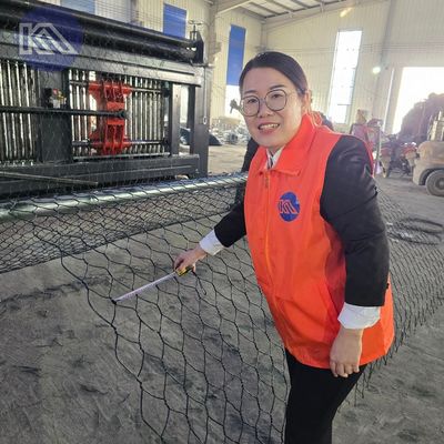 Standard Size Rock Fall Protection Mesh 8 X 80mm(W) X 120mm (H)  2.7mm 2m X 50m Gabion Wire Mesh Roll