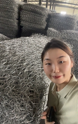 Galvanized Gabion Box Wire Mesh 2m Length Anti Rust Woven