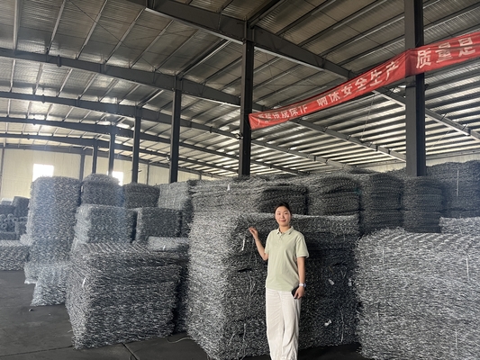 Hot Dipped Galvanized Gabion Box 2.0-4.0mm Wire Double Twist Mesh