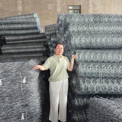 Protect Riverbanks Slopes and Channels with Heavy-Duty Gabion Wire Mesh Wall and Horizontal Stiffeners