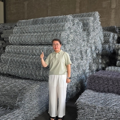 Double-Twisted Hexagonal Design Ensuring Strength Durability and Adaptability for Gabion Wire Mesh Wall Project
