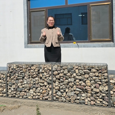 Heacy Zinc Coated Gabion Planter Perfection Build A Living Wall That Rocks