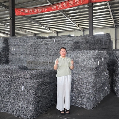 Double-Twisted Hexagonal Design Ensuring Strength Durability and Adaptability for Gabion Wire Mesh Wall Project